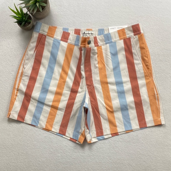 American Eagle Boardwalk Above The Knee Hybrid Short (Multicolor, 5.5” Inseam) - Picture 1 of 16